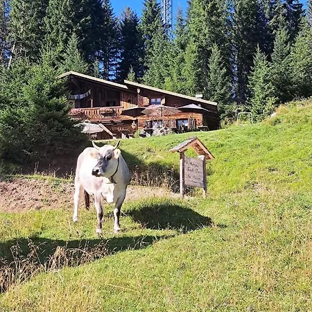 Rifugio Forcella Zovo * San Pietro di Cadore