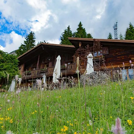 Rifugio Forcella Zovo Han/Misafirhane San Pietro di Cadore